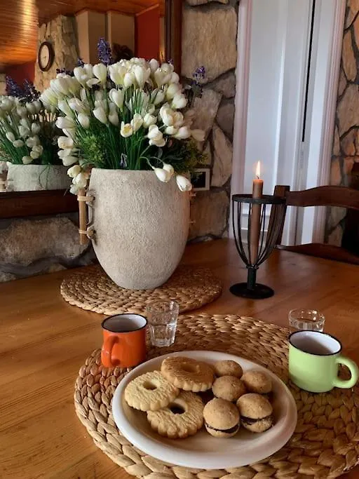 로마 Spectacular And Cozy Loft W/Terrace, Near Termini 아파트